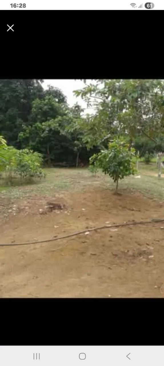 Vendo um Terreno  - Foto 4