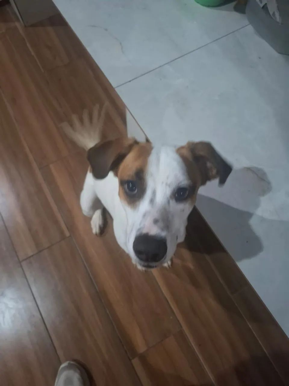 DOAÇÃO  - Foto 4