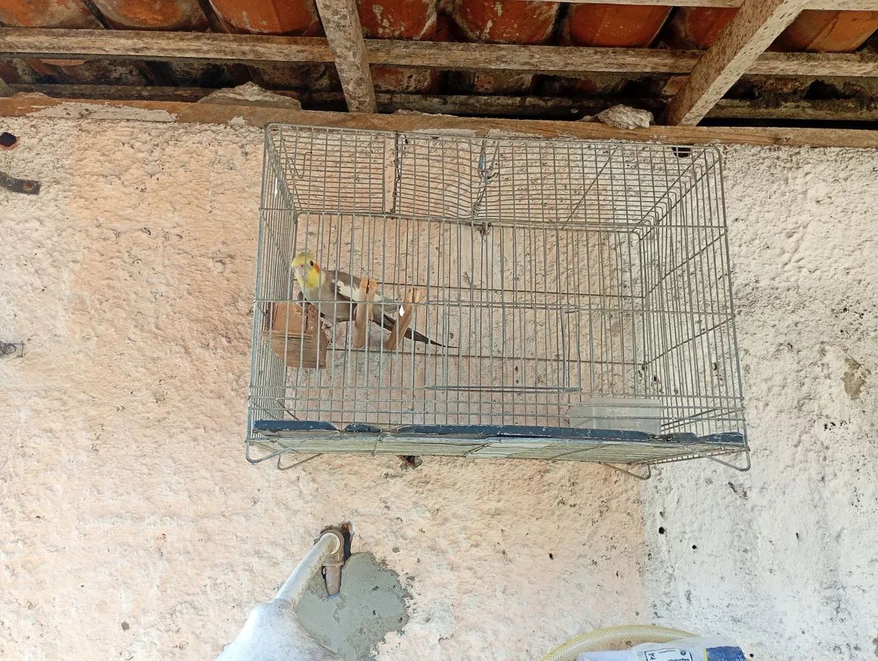 Vendo ou troco  - Foto 5