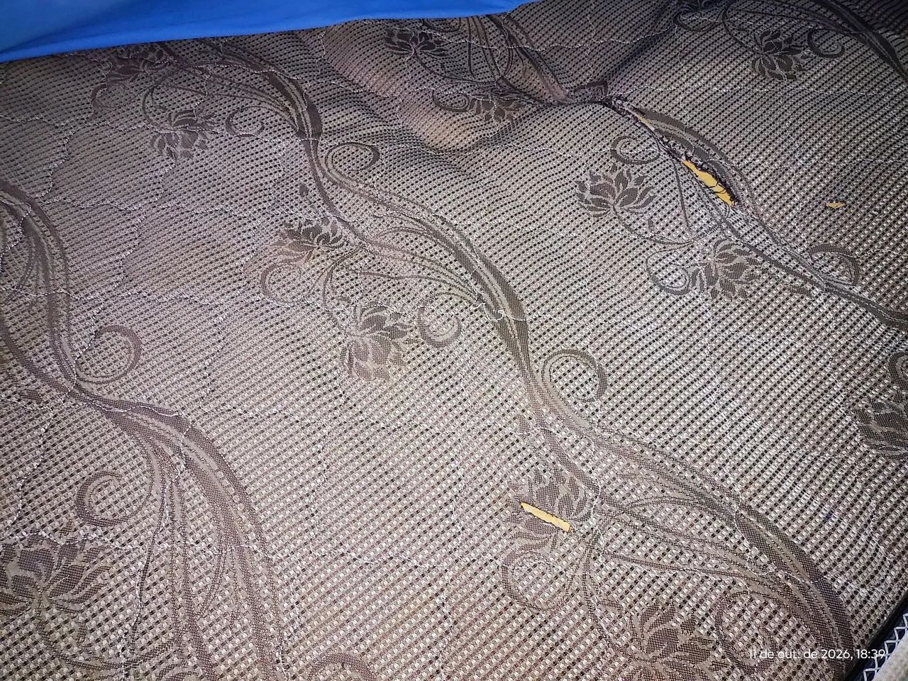 Cama