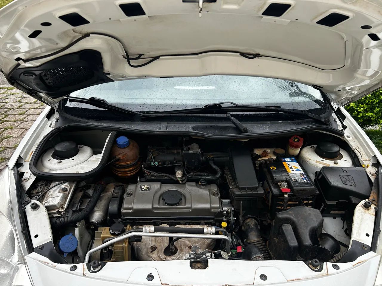 Peugeot 207 XR 1.4 FLEX 8V 3P 2011
