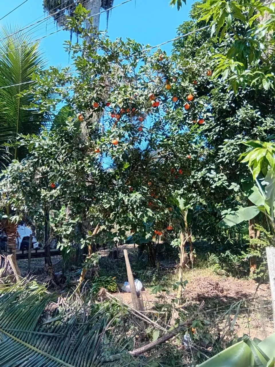 Vende-se uma chácara de 494m² - Foto 2