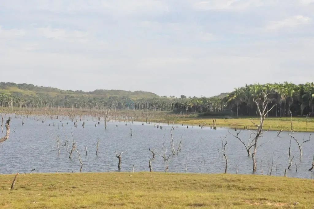 IMPERDIVELArea em Ascenção Turística -Lago Manso - Foto 3