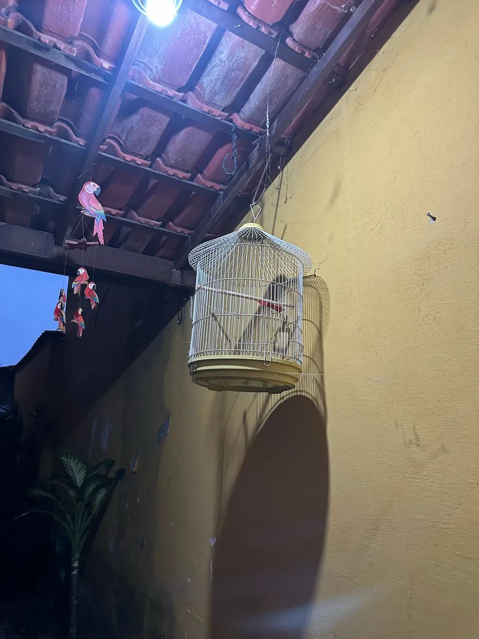 Gaiolas e suporte  - Foto 2