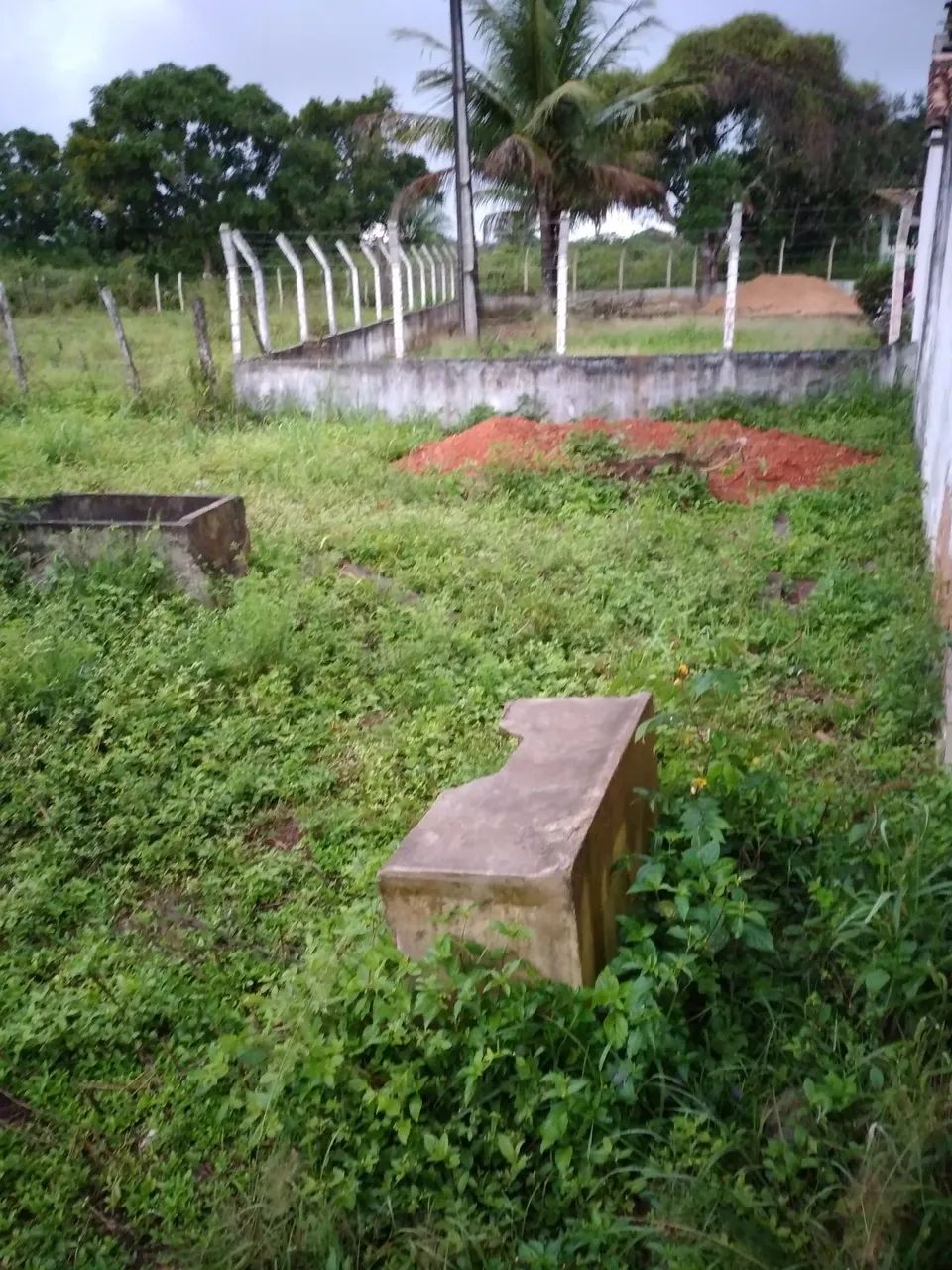 Sítio chácara  - Foto 4