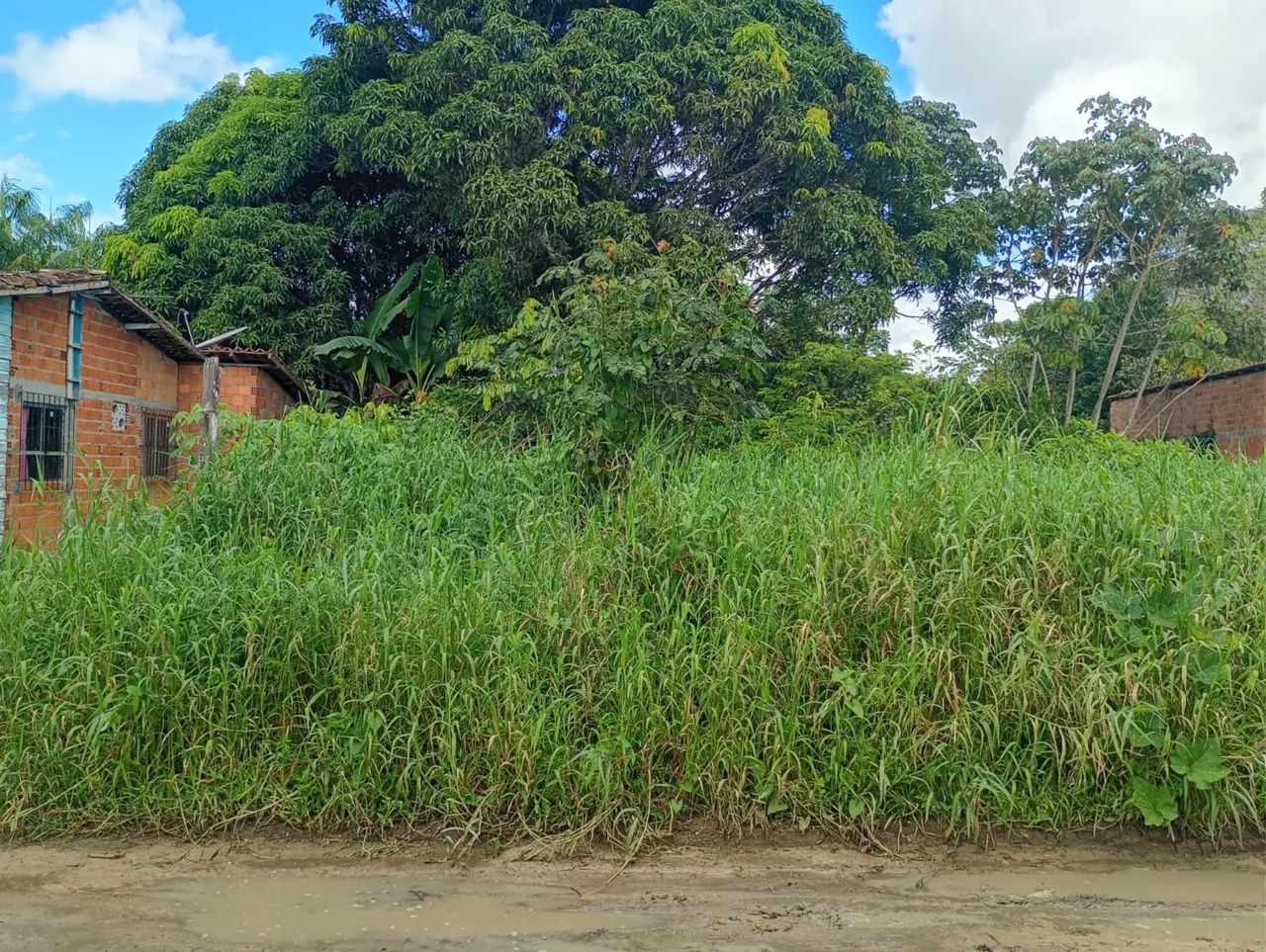 Vendo terreno em mosqueiro  - Foto 2