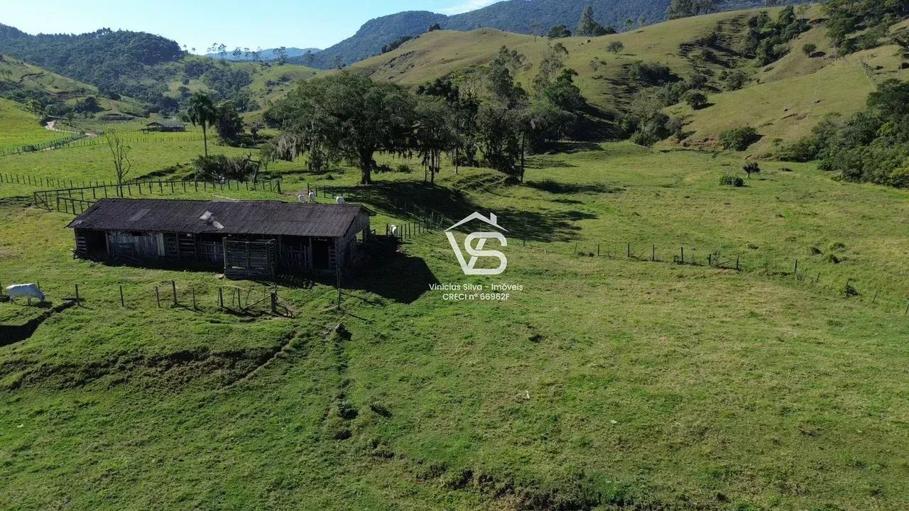 SÍTIO 9 HECTARES À VENDA  TIGELA, PAULO LOPES/SC - Foto 5