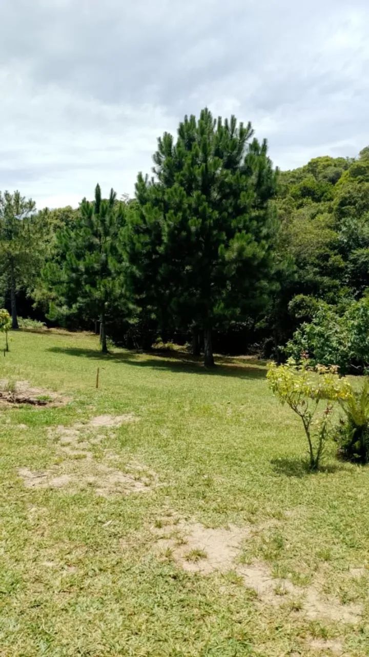 Foto - Florianópolis - São João do Rio Vermelho