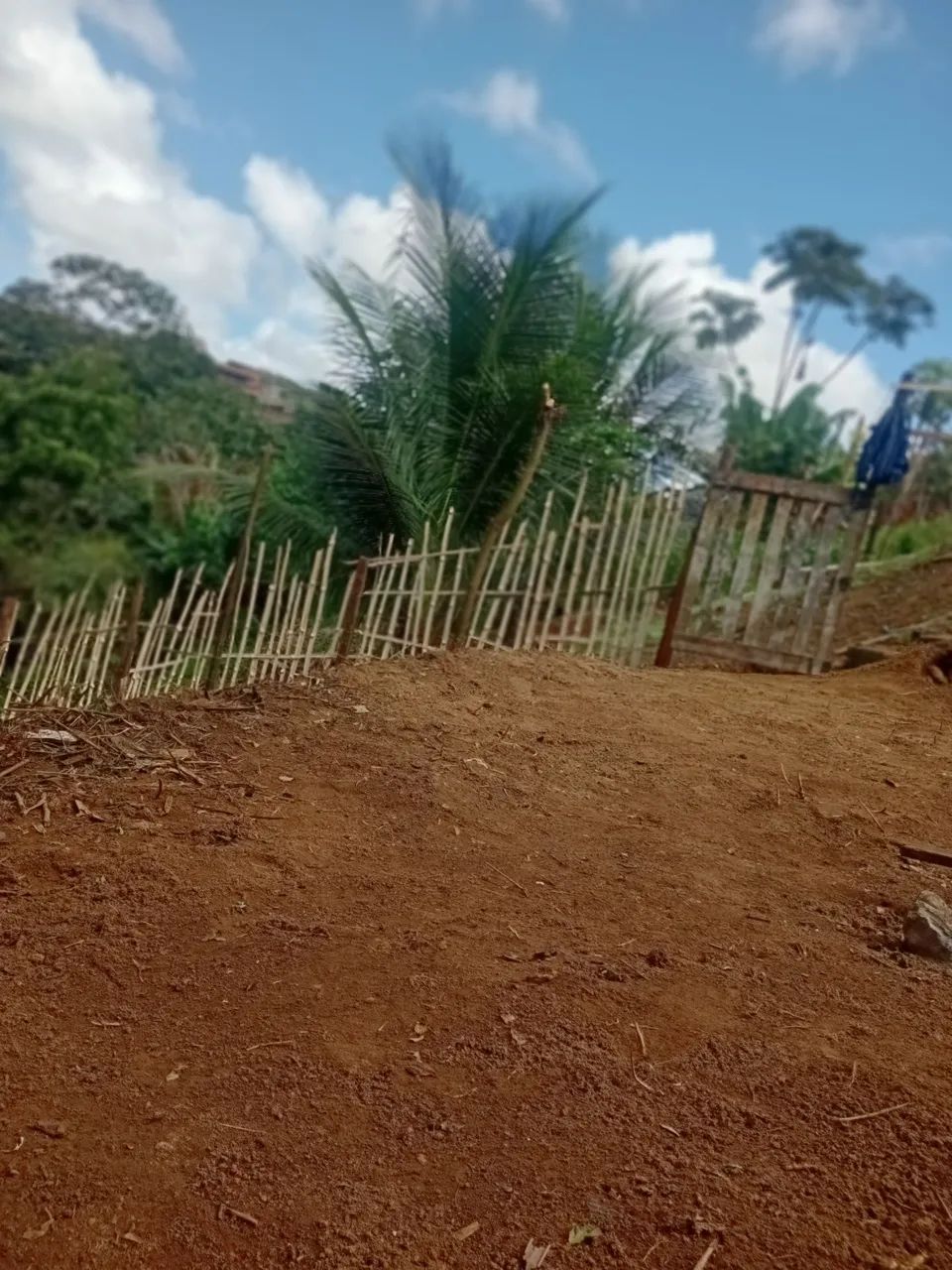 Terreno  - Foto 4
