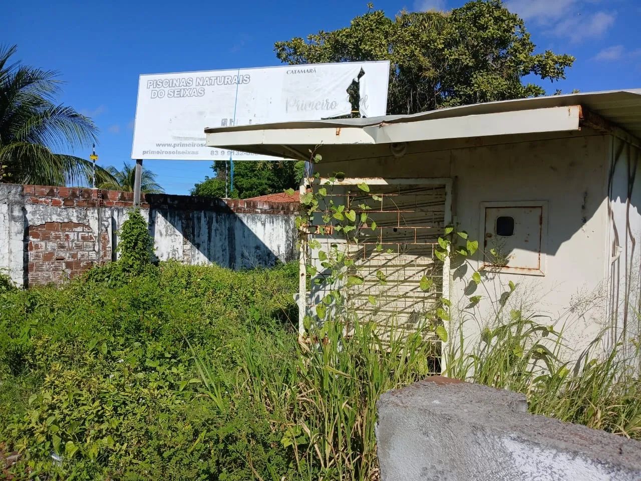 Fiteiro de Ferro Grande e Piso em Madeira  - Foto 2