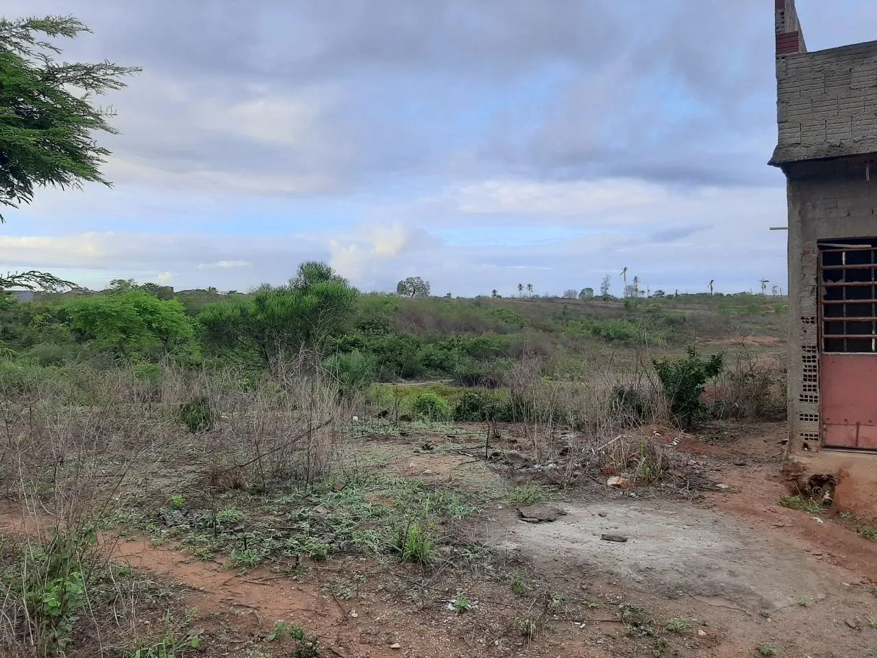 Terreno  - Foto 4