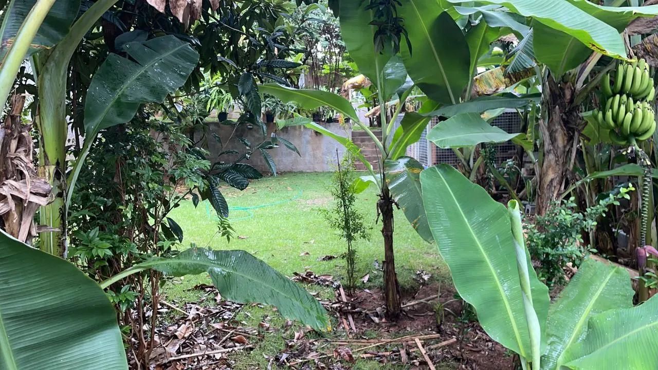 Chácara em Jarinu - Foto 5