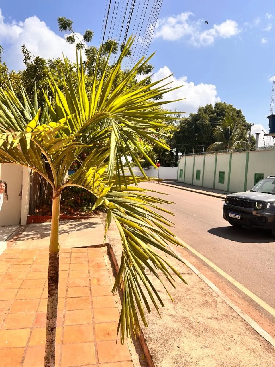 Casa em alter do chão 