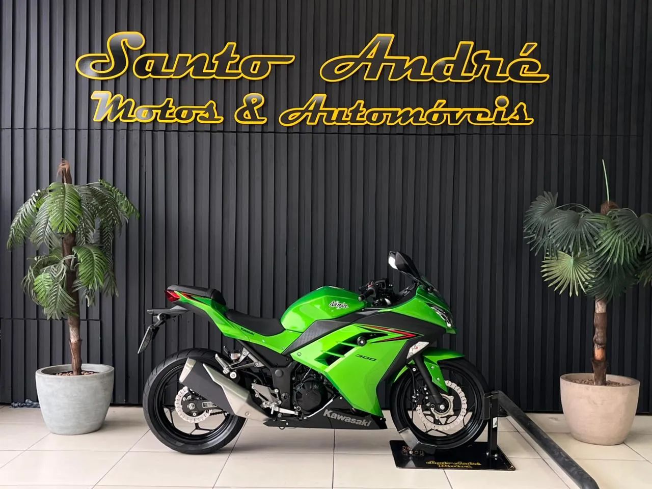 Kawasaki NINJA 300