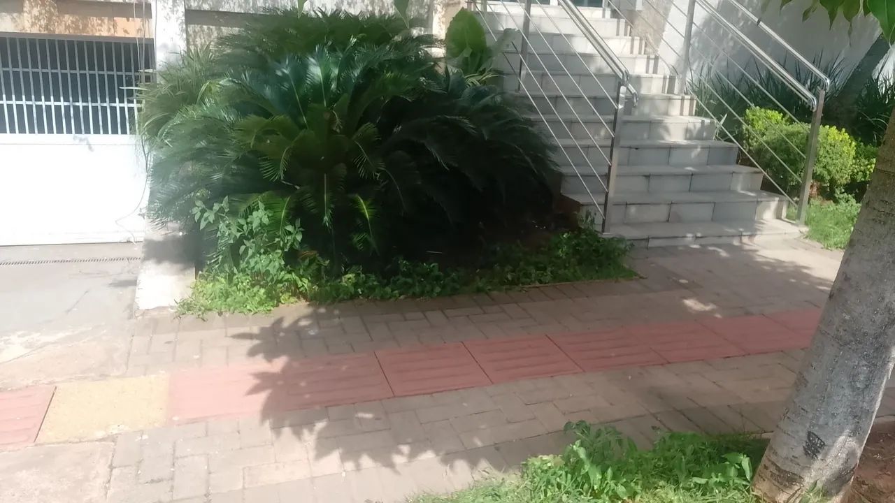 Jardim  - Foto 5