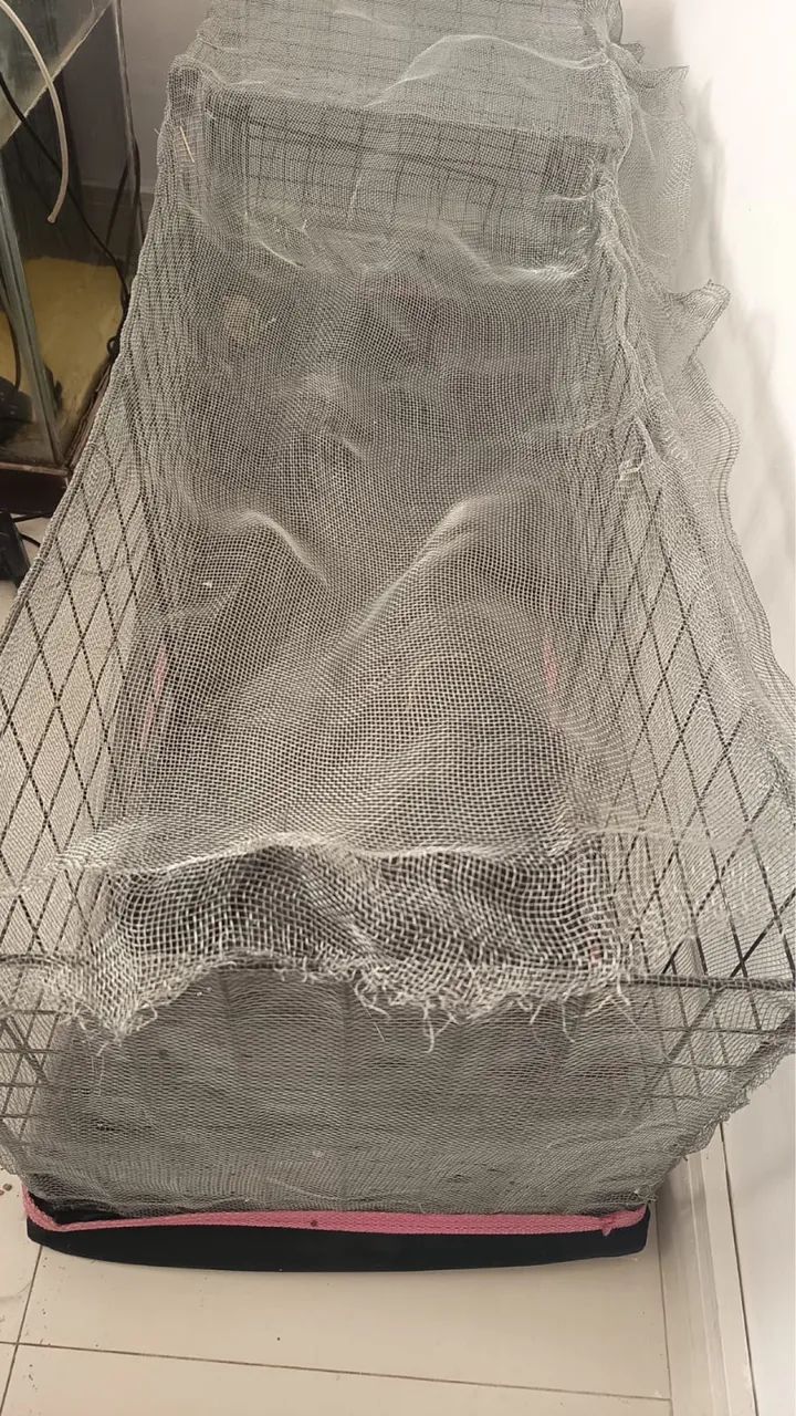 Cercado para roedores - Foto 2