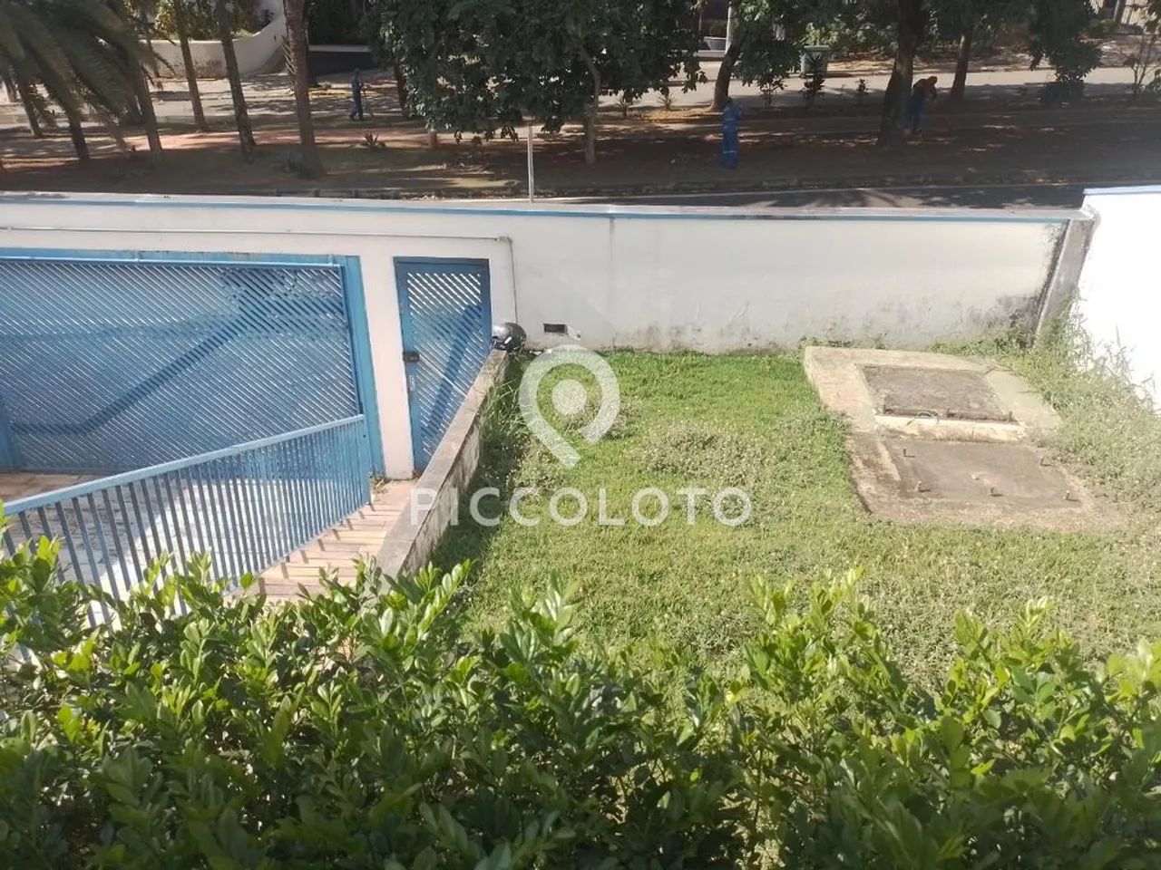 Casa para alugar em Campinas, Jardim Proença, com 5 quartos, com 244.02 m² - Foto 5