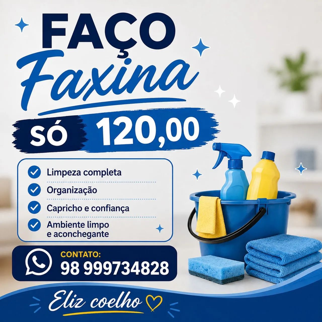 FAÇO FAXINA 120,00