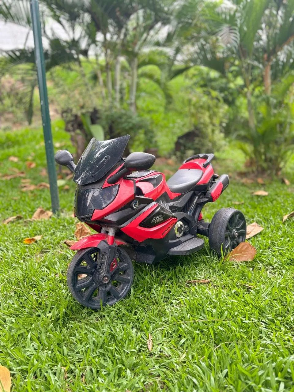 Moto eletrônica 