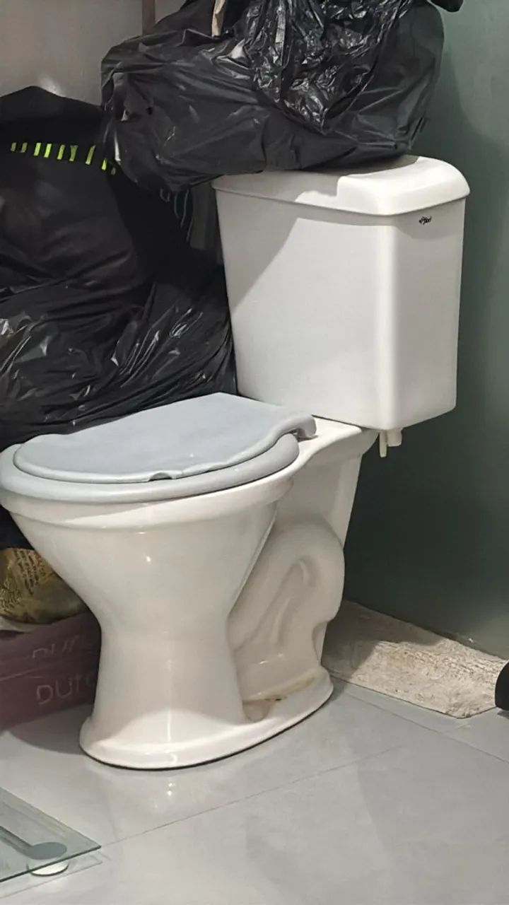 TOILET WITH INTEGRATED TANK