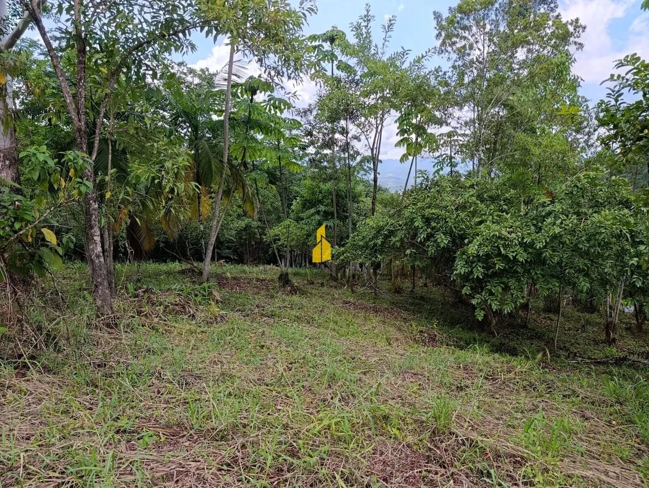 TERRENO NA CIDADE DE RIO DOS CEDROS/SC - Foto 2