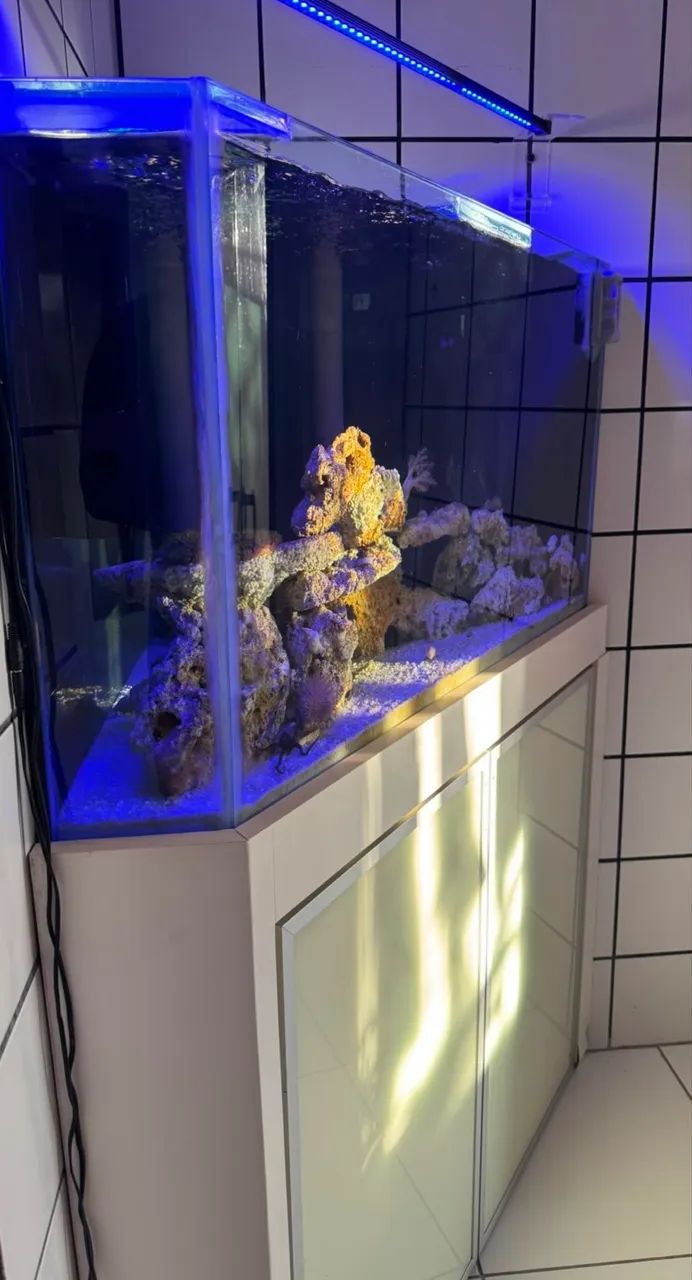 AQUÁRIO DE 492 LITROS COM SUMP- LEIA DESCRIÇÃO EM ANÚNCIO  - Foto 5