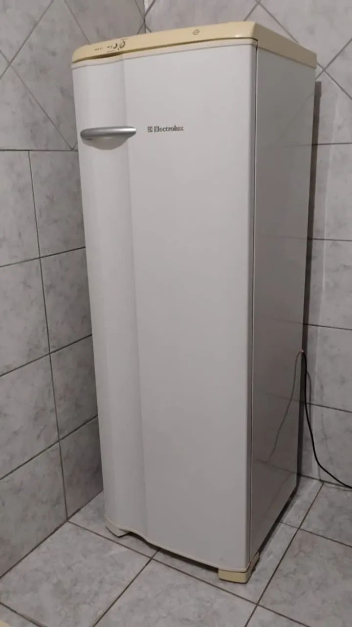 Geladeira Electrolux 343L | 220V