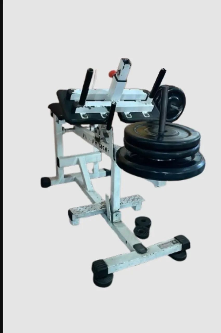 Panturrilha máquina 449241698355783680
