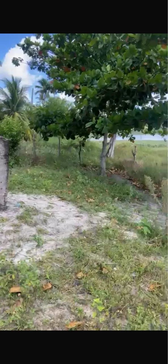 Terreno  - Foto 2