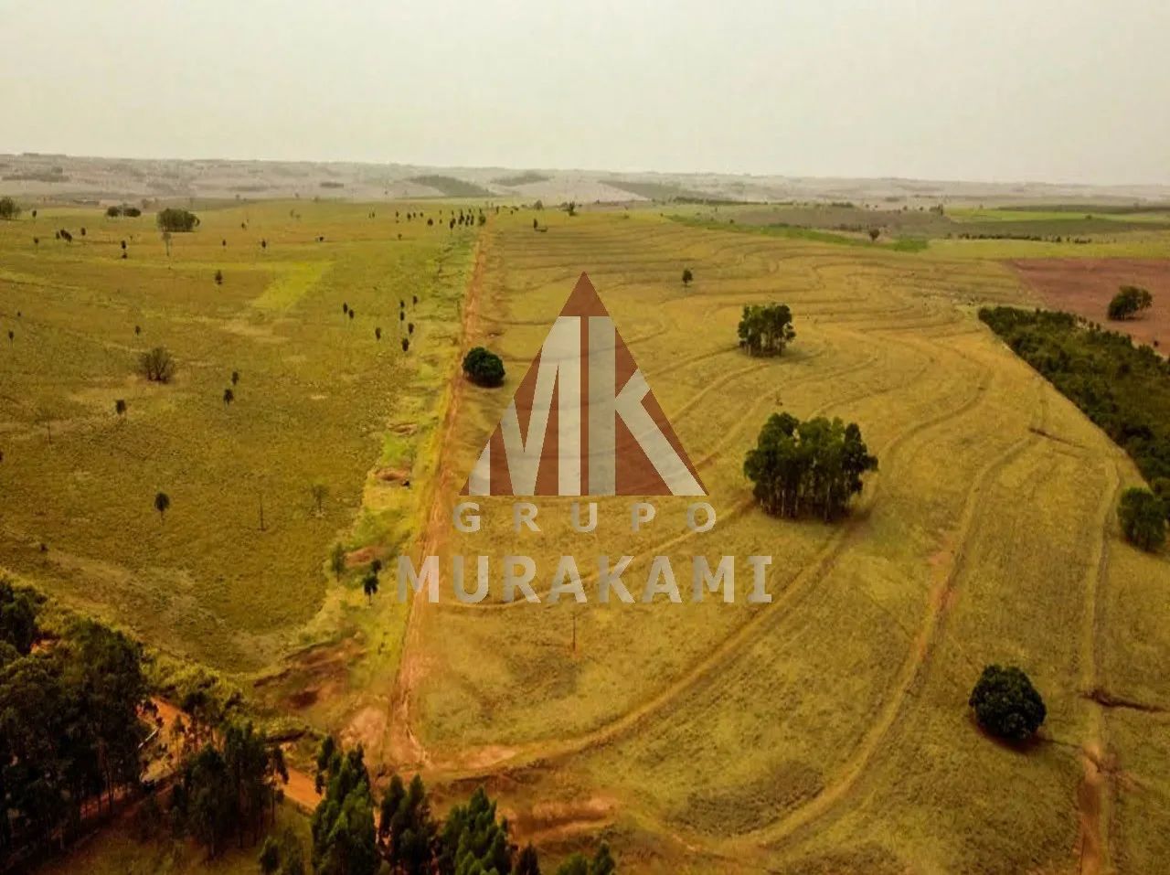 FAZENDA - MARIA HELENA - PR - Foto 2