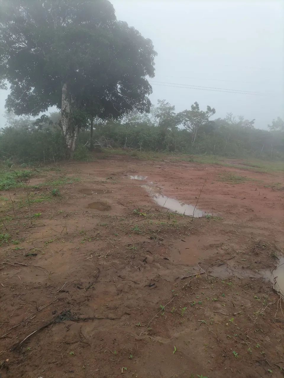  TERRENO À VENDA - SÍTIO CAJUEIRO | ARATUBA-CE  - Foto 2