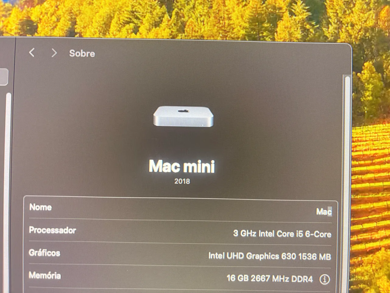 mac mini i5 16gb