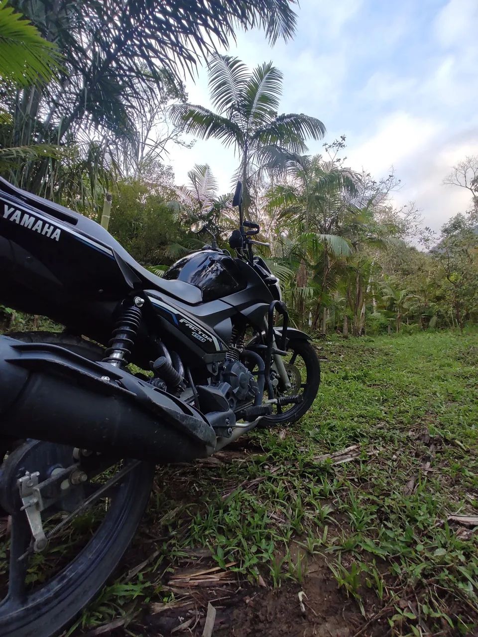 Factor 150 ED 2022 - Foto 8