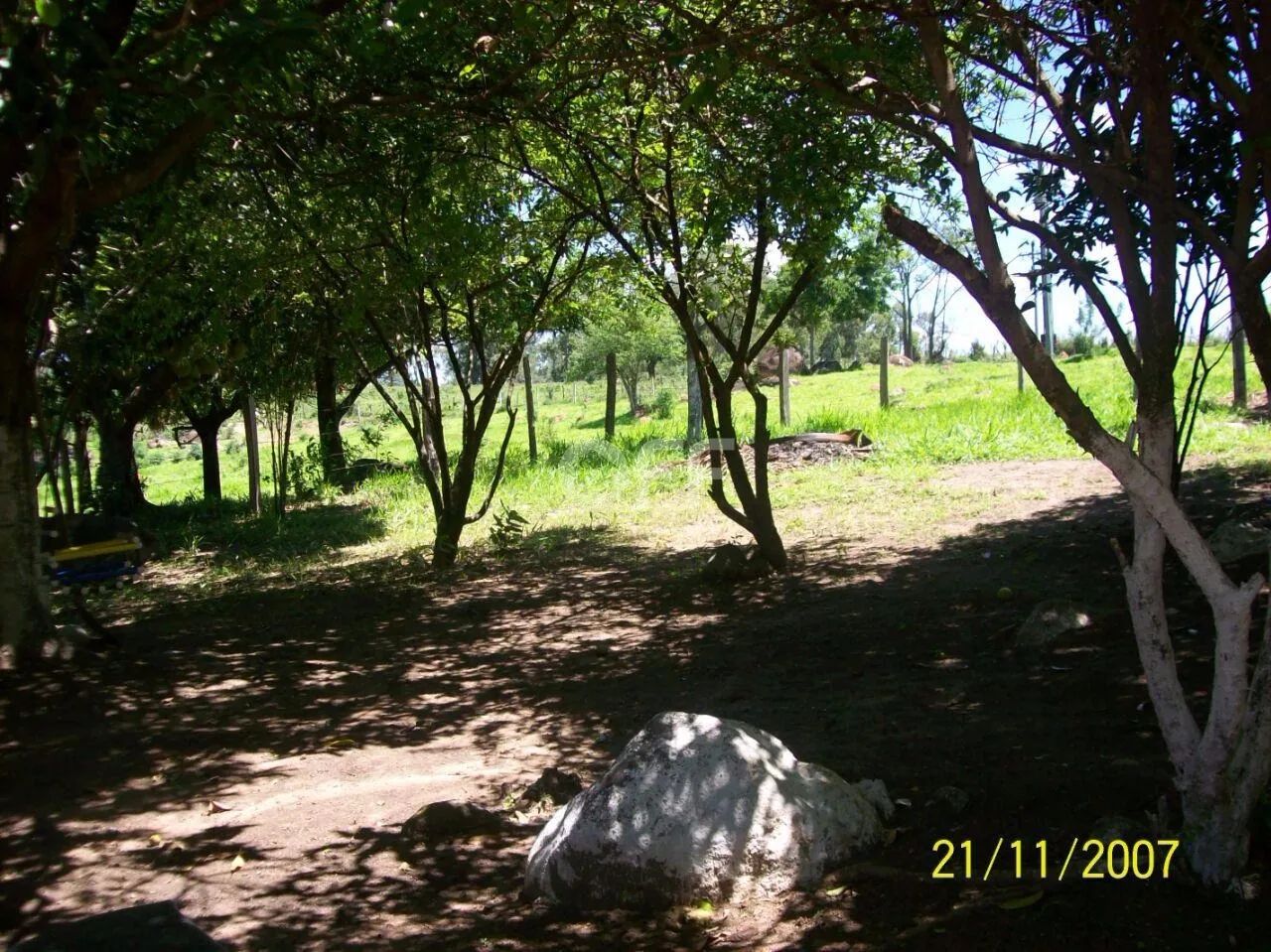 sítio - Carlos Gomes - Campinas - Foto 4