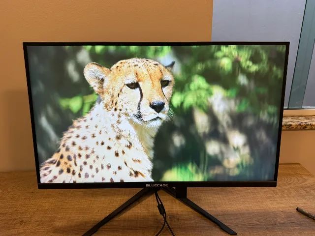 Monitor QHD 1440p 2,5K 27 Pol. Bluecase  