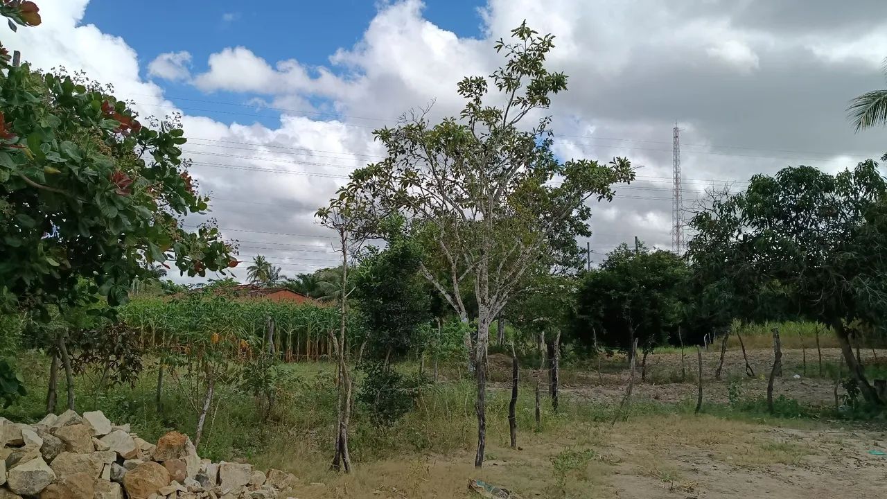 Vendo lotes em Maruim/SE - Foto 4