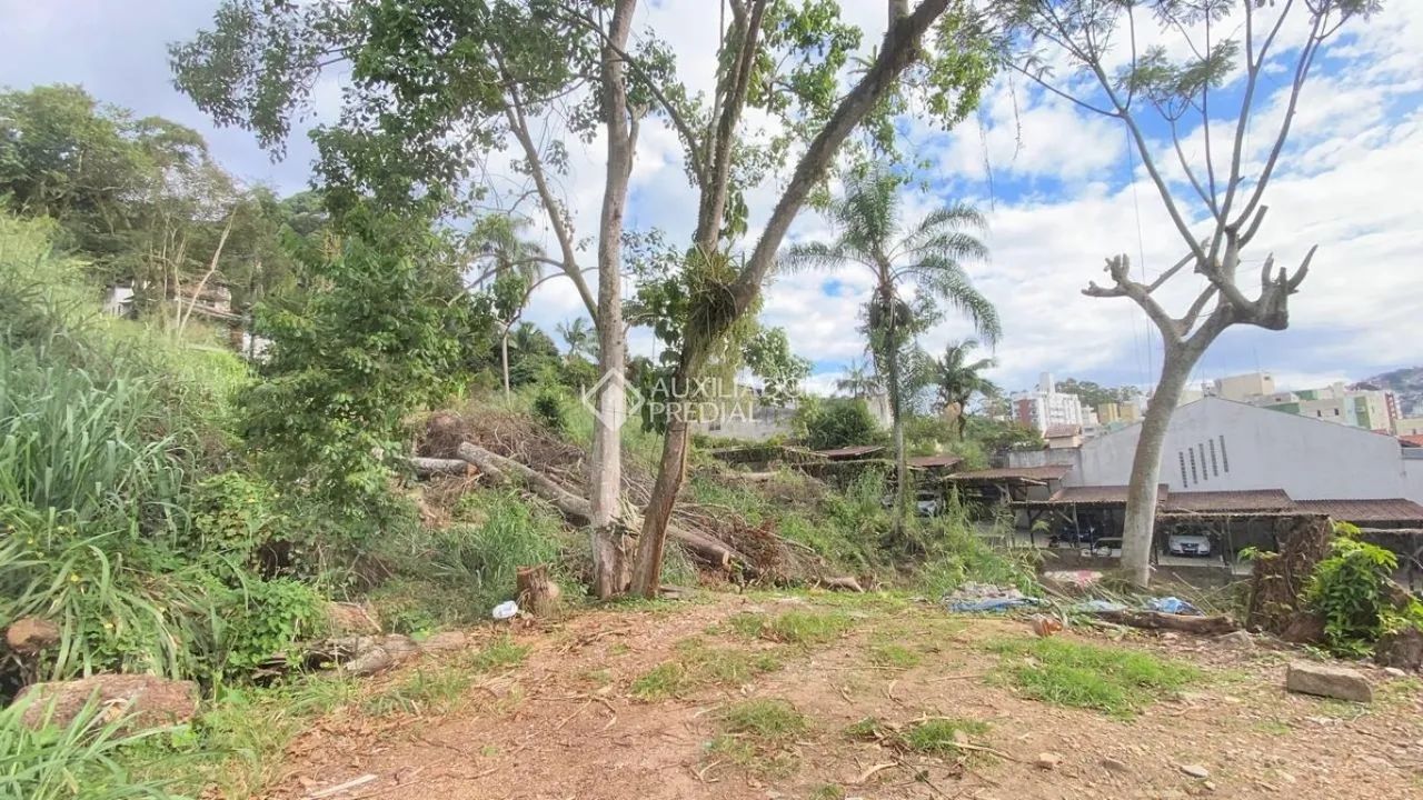Terreno a Venda no bairro Córrego Grande