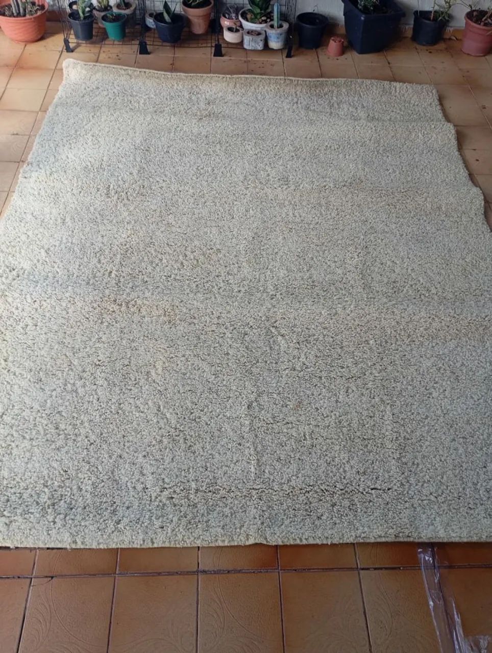 Tapete - Foto 2