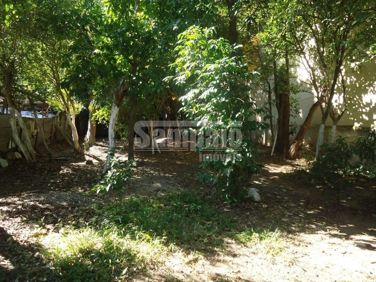 Campo Grande | Terreno - Foto 5