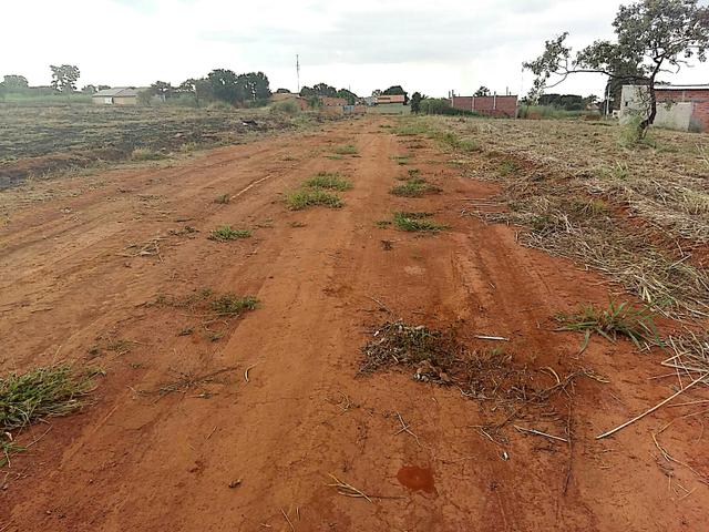 Loteamento Buriti Sereno -Aparecida goiania - Foto 5