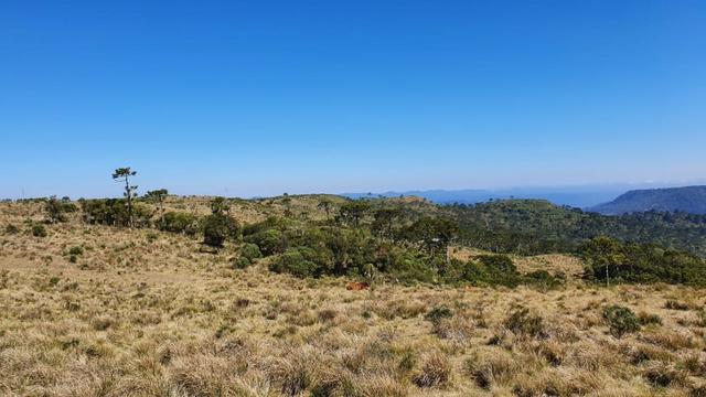 Sitio em Urubici/chácara em Urubici/área rural - Foto 3