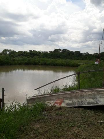 Vendo Sítio com 10.7 Hectares - Foto 2