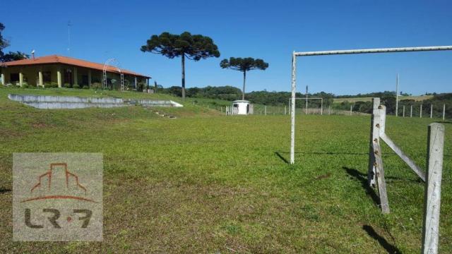 Chácara residencial à venda, Faxina, São José dos Pinhais. - Foto 14