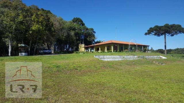 Chácara residencial à venda, Faxina, São José dos Pinhais. - Foto 2