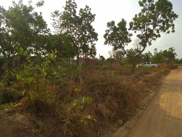 Vendo 3 terreno cada 10×20 NEGOCIO