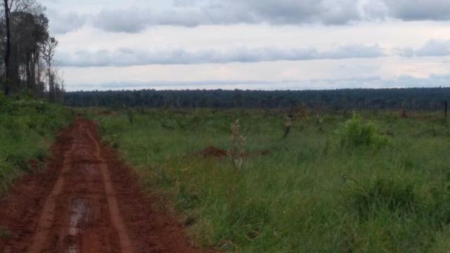 Fazenda em Marcelândia - Foto 3