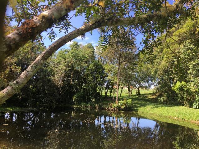 Chacara - São José dos Pinhais - Foto 3