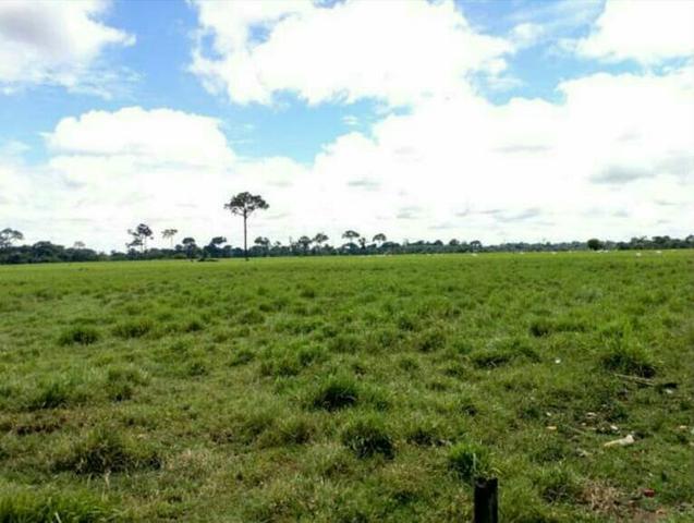 Colônia com 84 Hectares de terra Titulada - Foto 3