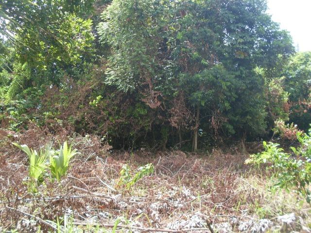 Terreno na Rodovia / Ilhéus/Itacaré - Km 25 Loteamento Luzimares Quadra 04 - Lote 32