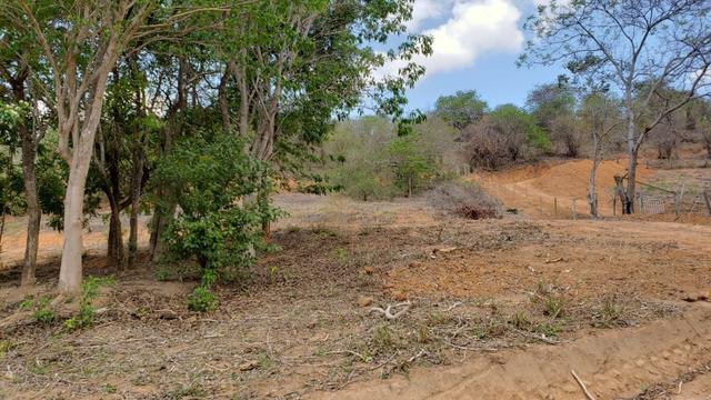 Área comercial 10.000m² / Governador Valadares - Foto 5